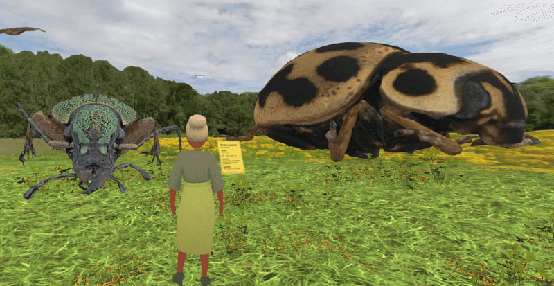 Giant Insect World